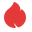 关注